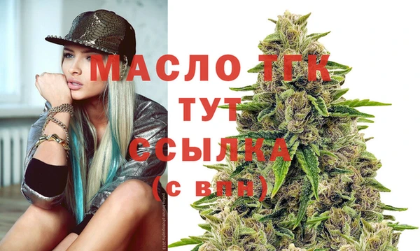 тгк Гусев