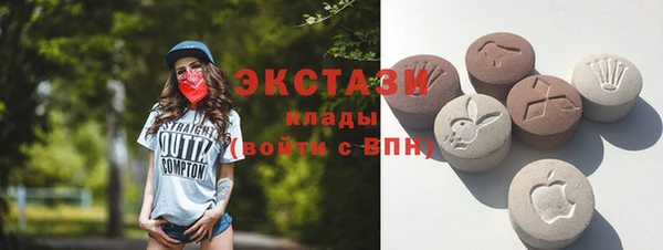 тгк Гусев