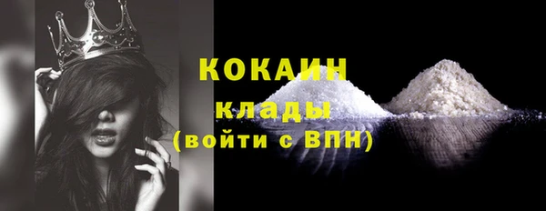 тгк Гусев
