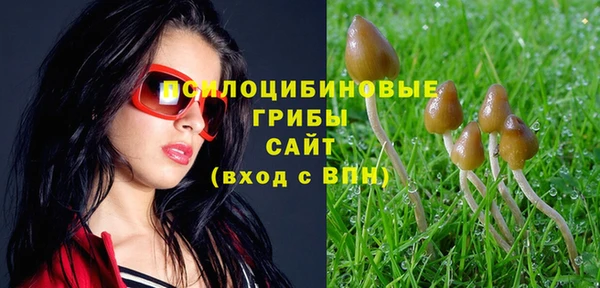 тгк Гусиноозёрск