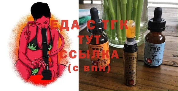 тгк Гусев
