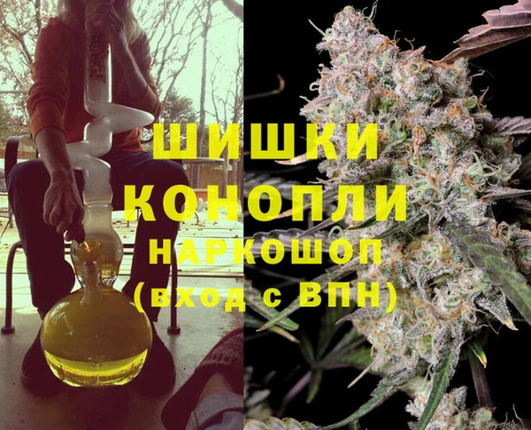 тгк Гусев