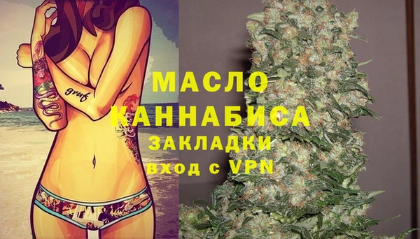 тгк Гусев
