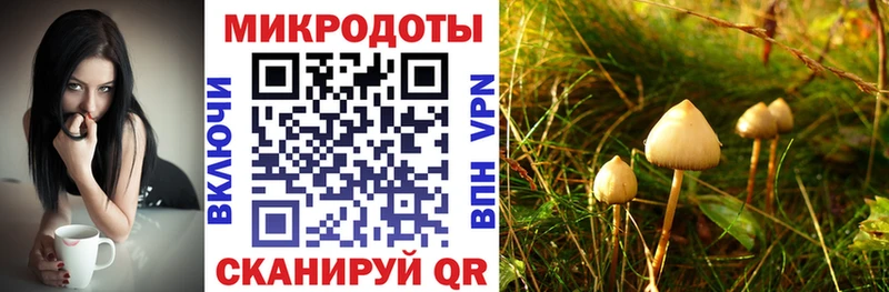 Купить где  Советск  Псилоцибиновые грибы прущие грибы 
